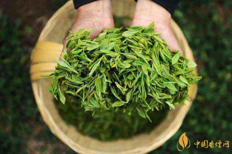 飲茶多的壞處 飲茶的誤區