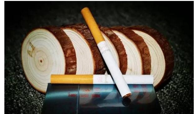 黃鶴樓游泳回歸，爺爺輩最喜愛的香煙品牌