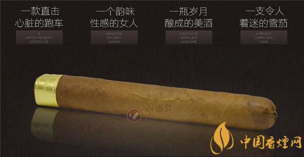 大衛杜夫雪茄(大衛杜夫金裝美味)怎么樣 大衛杜夫金裝美味鑒賞